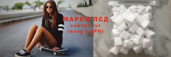 стаф Карпинск