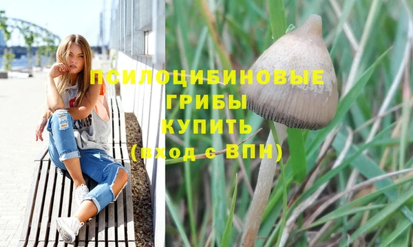 соль курить ск Кинешма