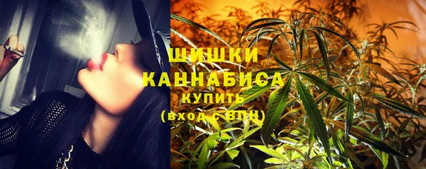 стаф Карпинск