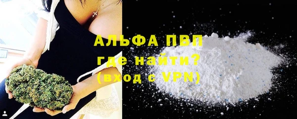 стаф Карпинск
