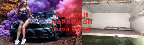 тгк Касимов