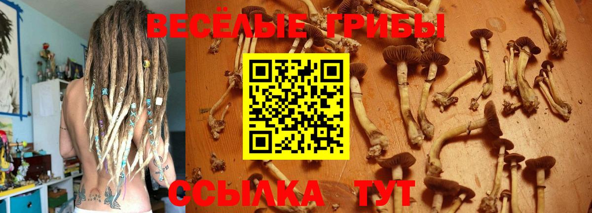 Псилоцибиновые грибы мицелий  Вход с VPN  где купить наркоту  Люберцы 