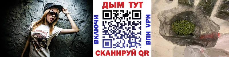 Бошки марихуана гибрид  kraken рабочий сайт  Люберцы  купить наркотики цена 